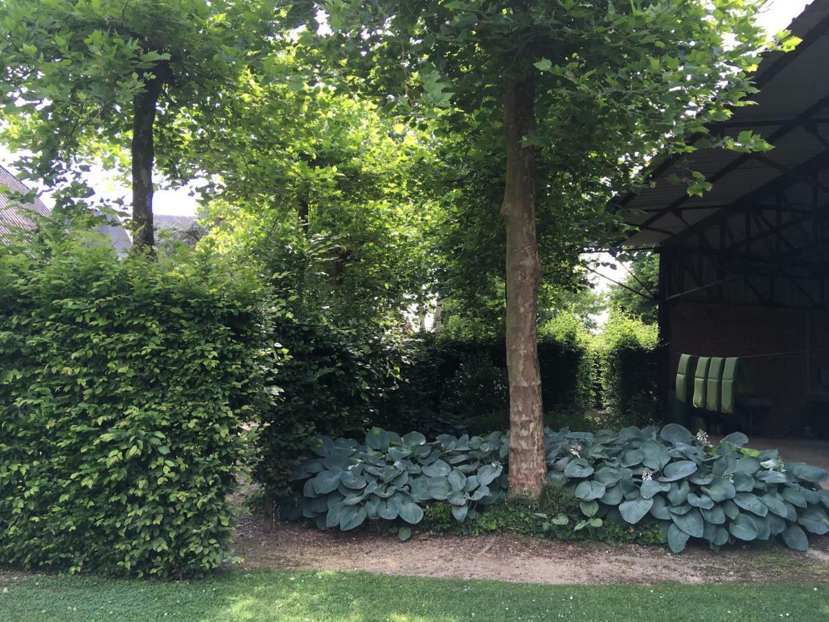 Neerhof Villa Neerlinter Dış mekan fotoğraf